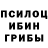 Псилоцибиновые грибы Magic Shrooms Valentina Meiske