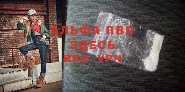 эйфоретик Покачи