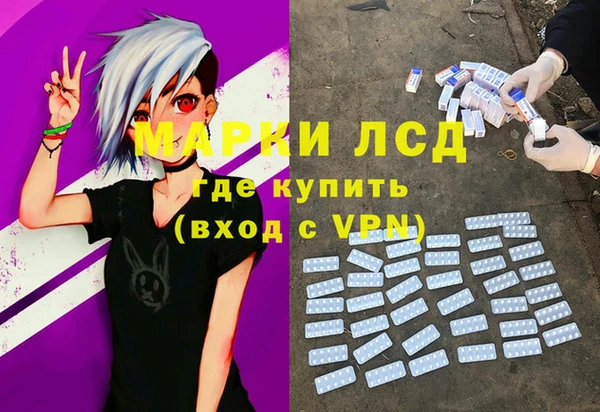эйфоретик Покачи