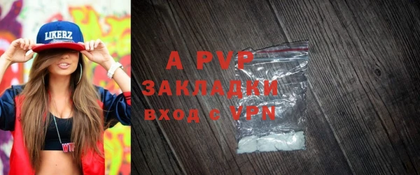 эйфоретик Покачи